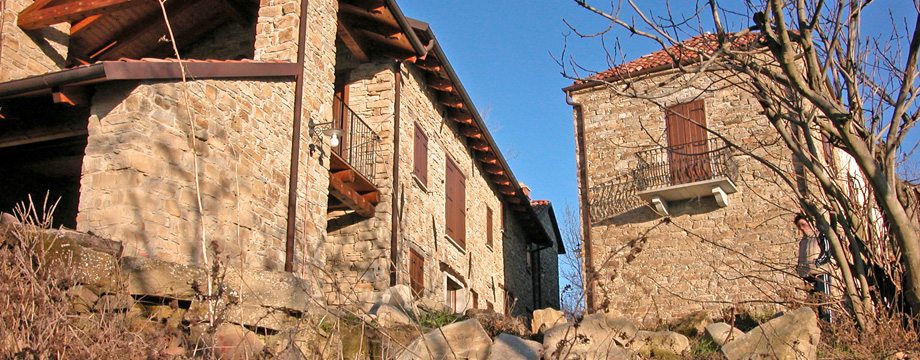 Main and secondary house in sunshine
